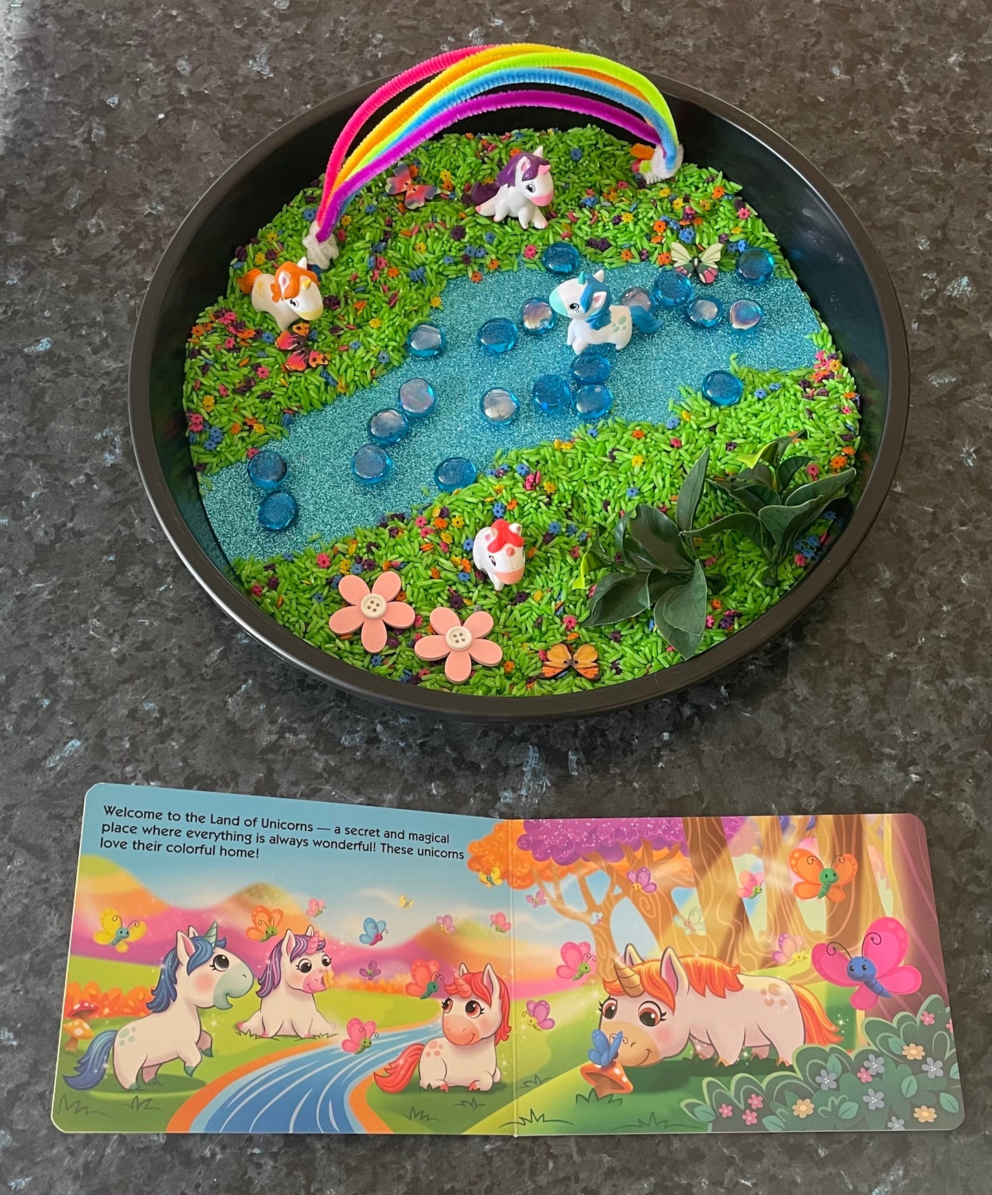 Land of Unicorns Book Play