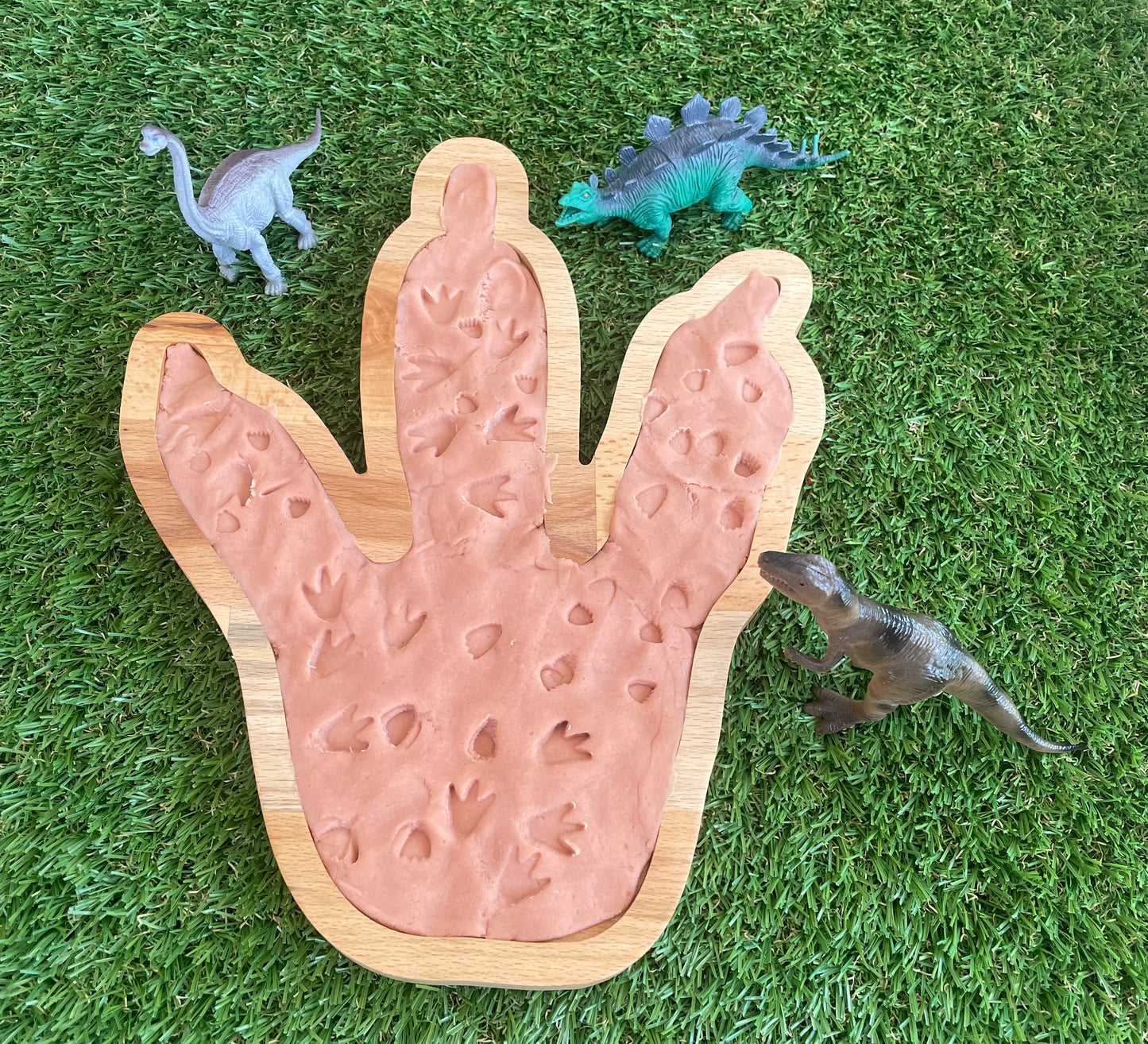 Wooden Sensory Tray - Dinosaur Footprint