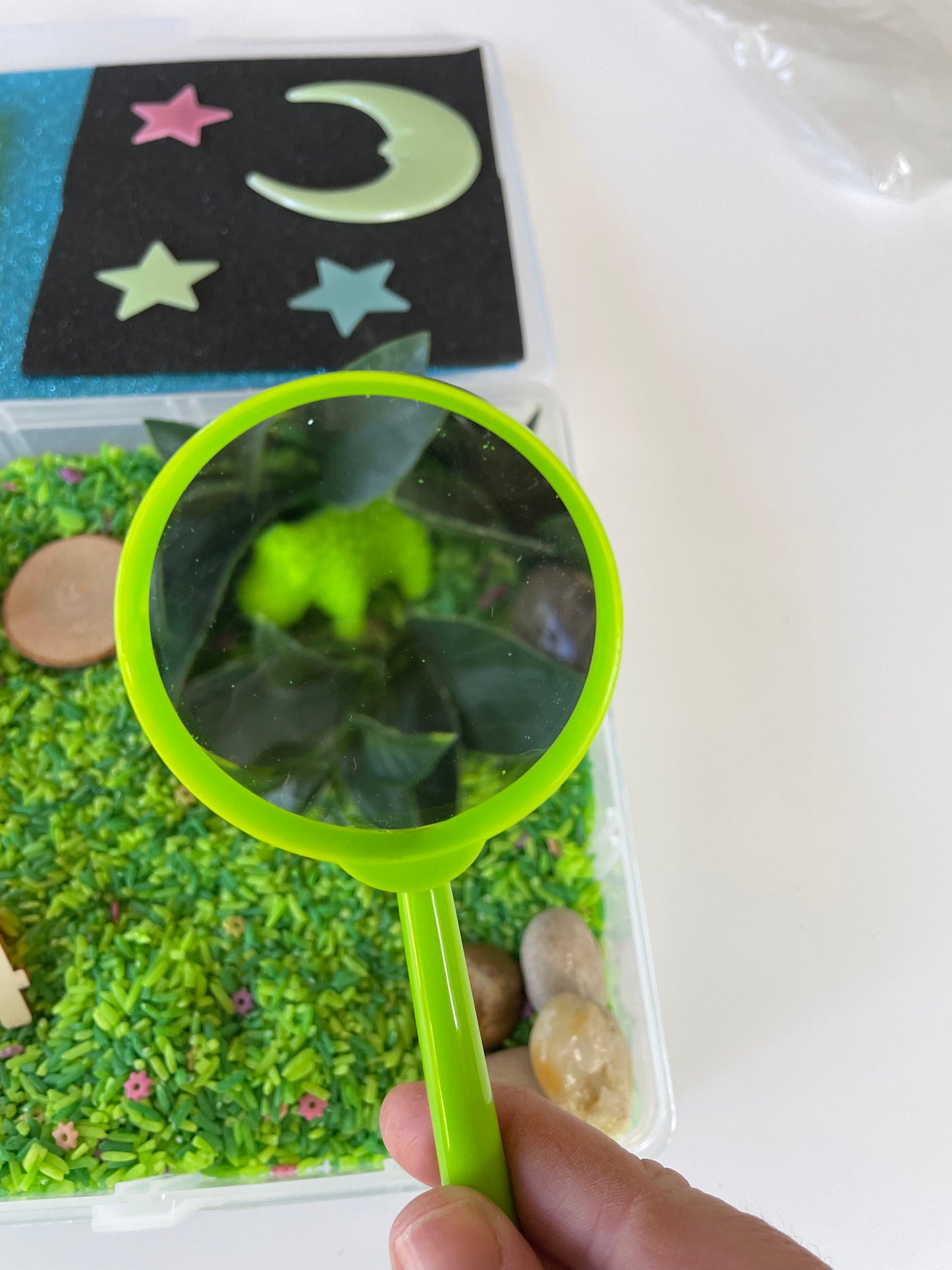 Play in the Tray - Where is the Green Sheep?