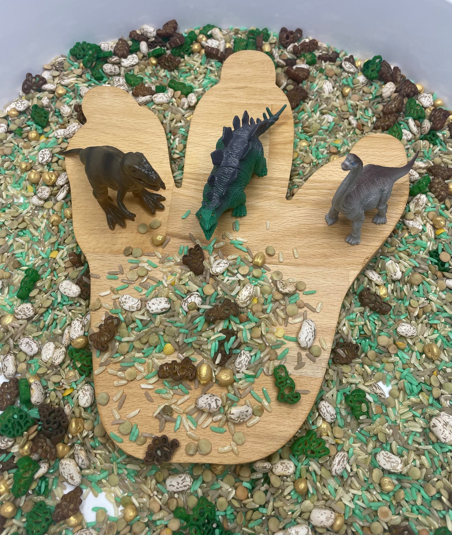 Wooden Sensory Tray - Dinosaur Footprint