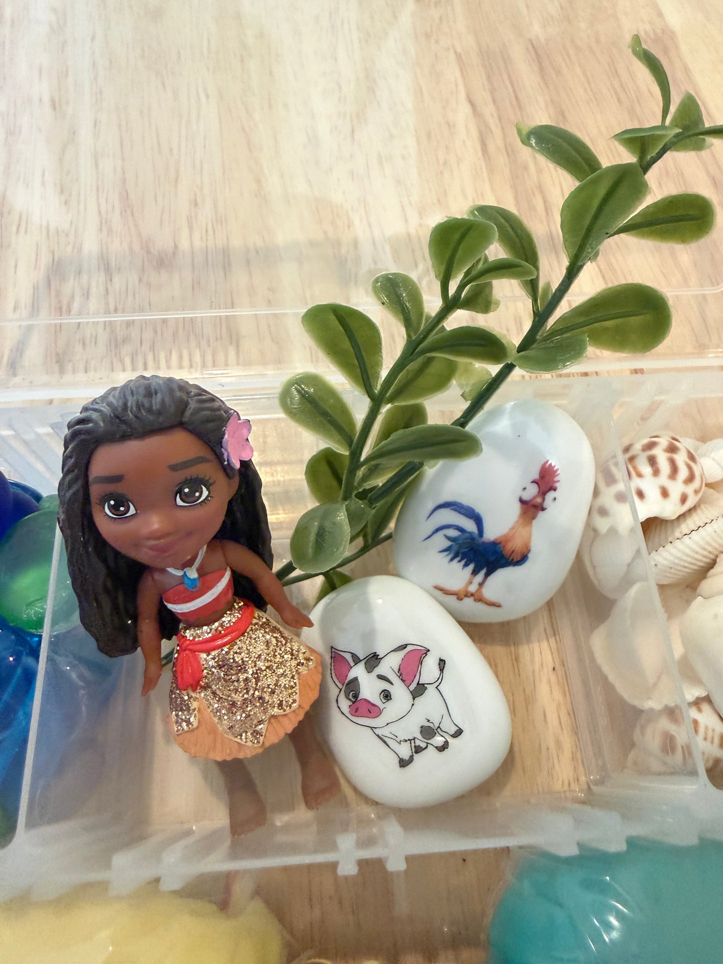 Moana Playdough Kit
