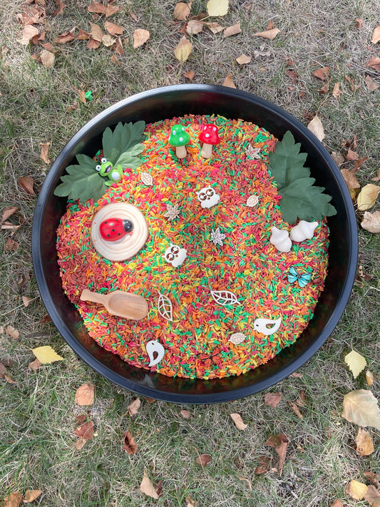 Autumn Discovery Sensory Base