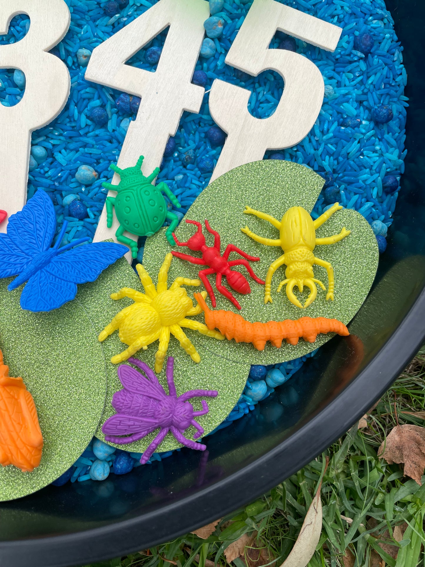 Five Green and Speckled Frogs Sensory Base