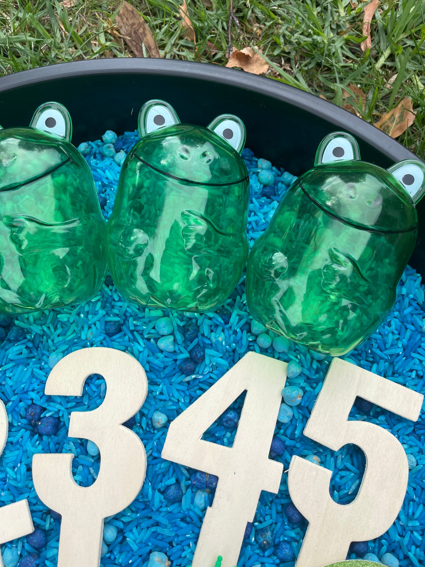 Five Green and Speckled Frogs Sensory Base