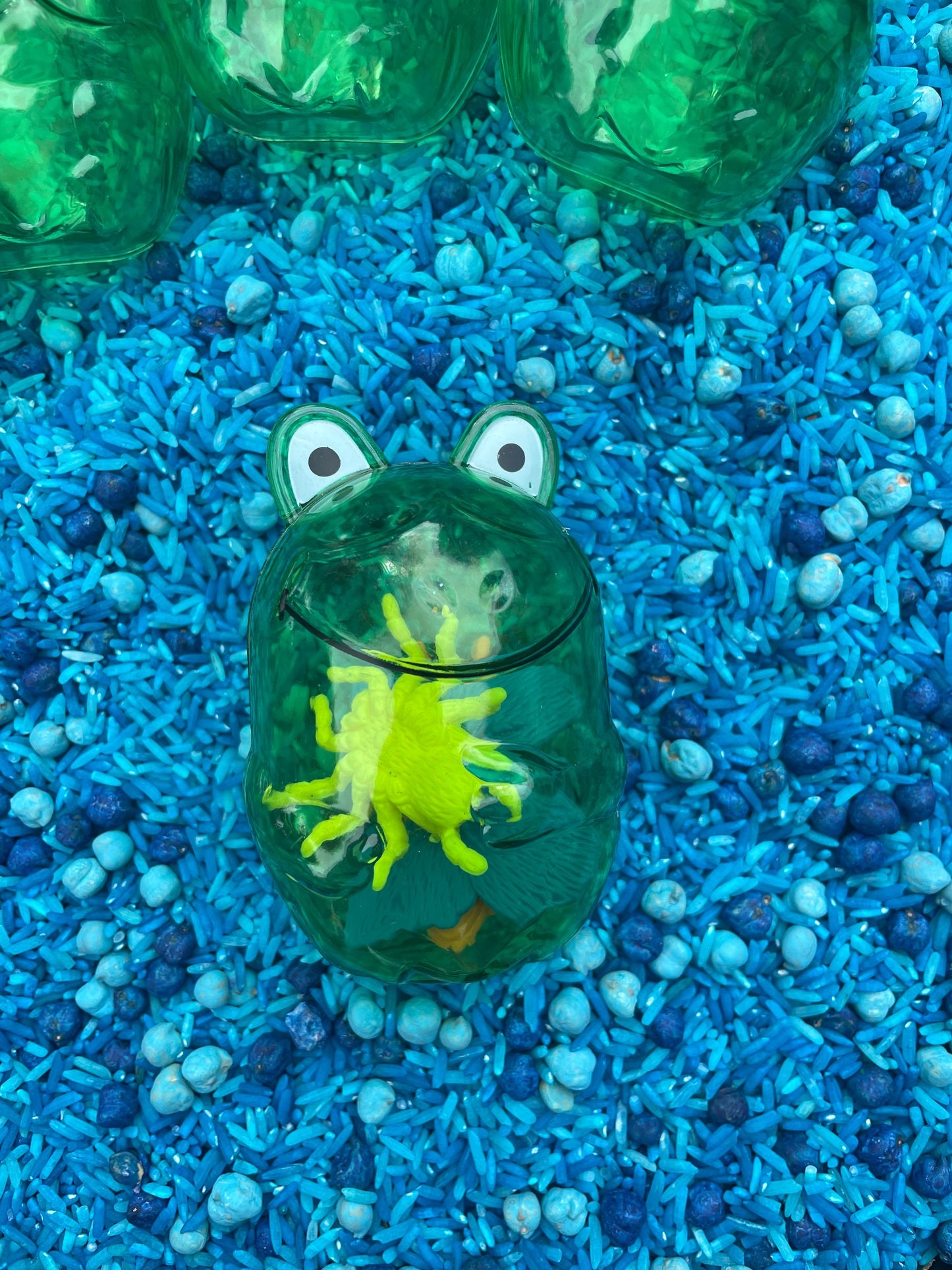 Five Green and Speckled Frogs Sensory Base